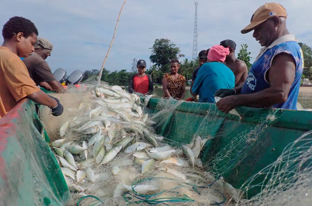 Kelompok masyarakat sedang memilah ikan tangkapannya